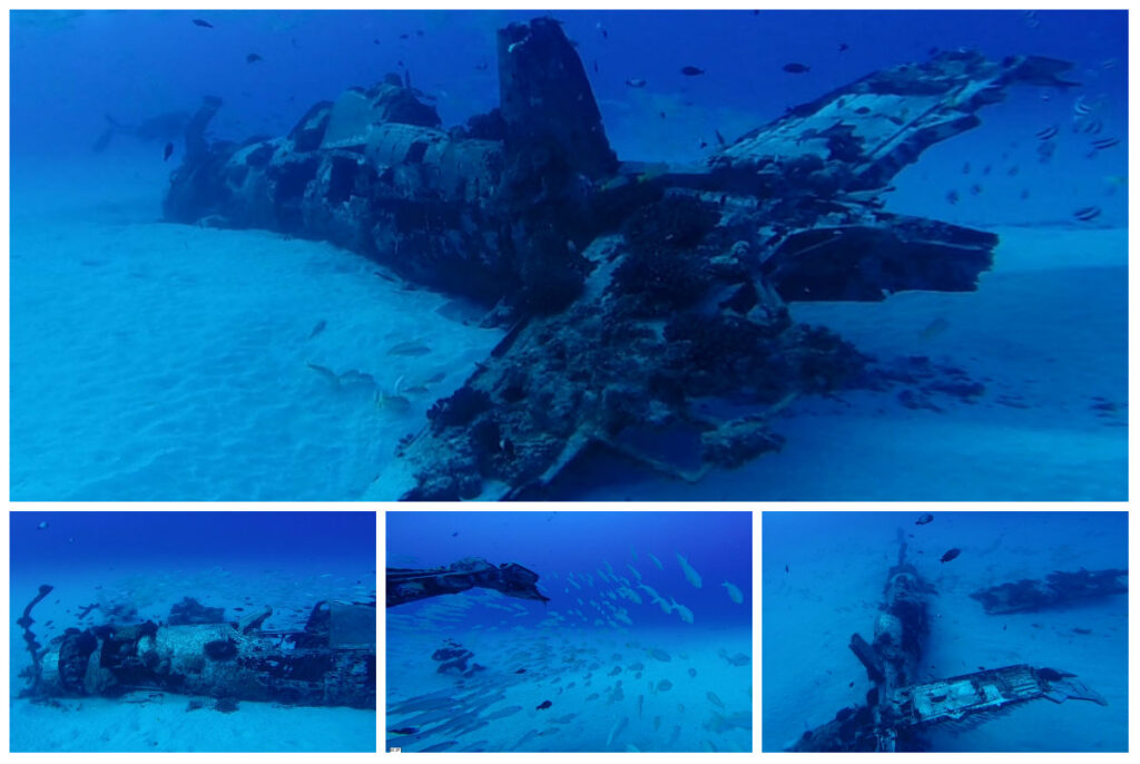 Discovering the Underwater Treasures of Hawaii: Shipwrecks and Marine Life