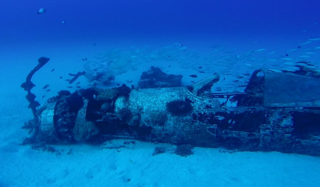 Discovering the Underwater Treasures of Hawaii: Shipwrecks and Marine Life