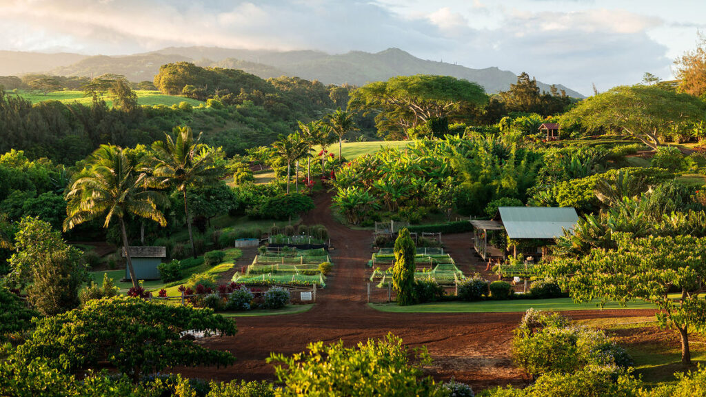 Exploring the Thriving Agritourism Scene in Hawaii