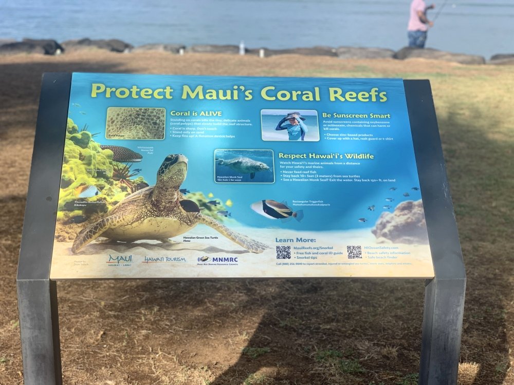The Importance of Respecting and Protecting Hawaiis Coral Reefs