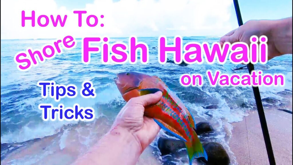The Ultimate Guide to Fishing in Hawaii