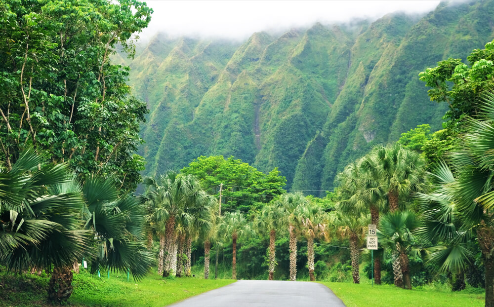 Exploring the Natural Beauty: The Best Gardens and Arboretums in Hawaii