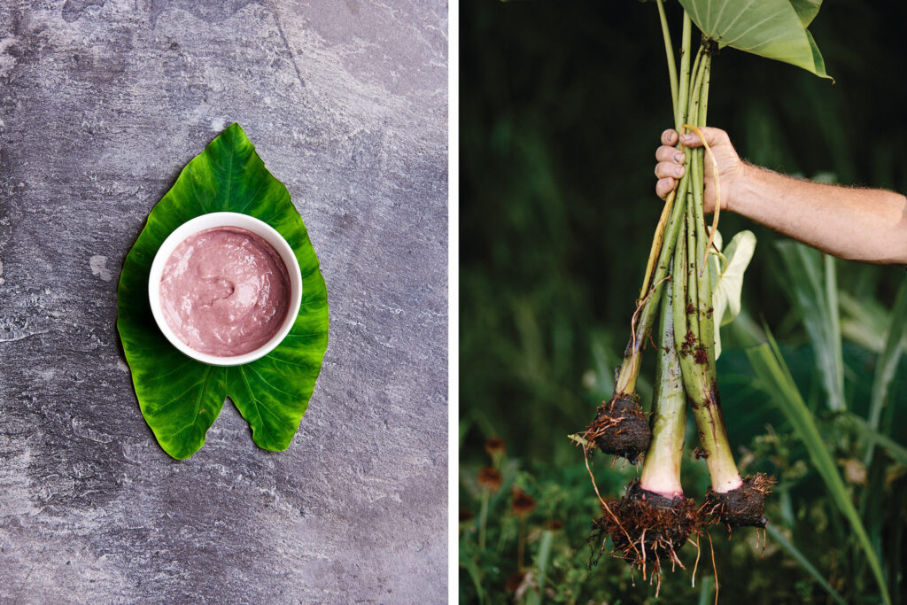 Exploring the Significance of Taro in Hawaiian Gastronomy